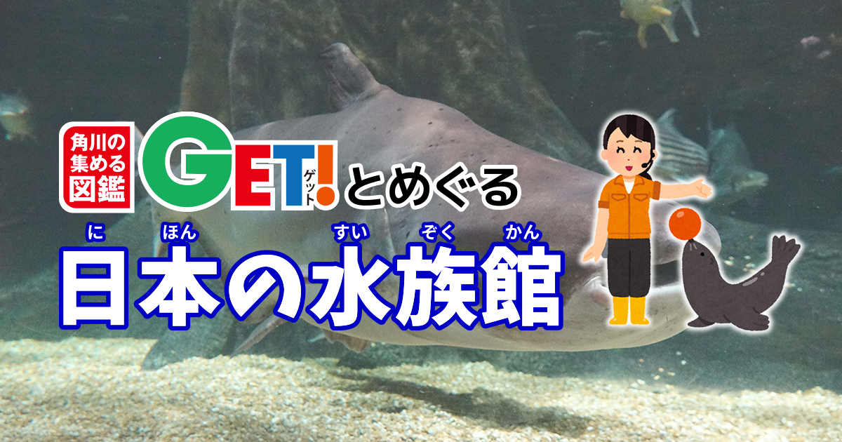 角川の集める図鑑GET！とめぐる日本の水族館 第4回 アクア・トト ぎふ