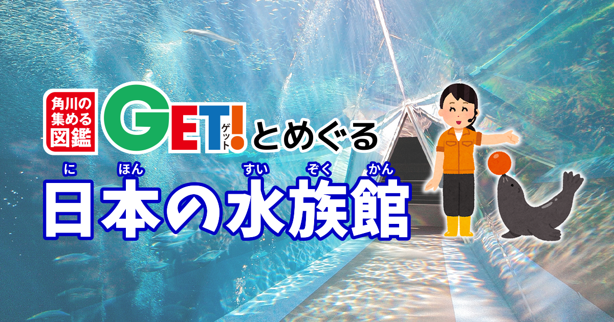角川の集める図鑑GET！とめぐる日本の水族館 第5回 アクアマリン
