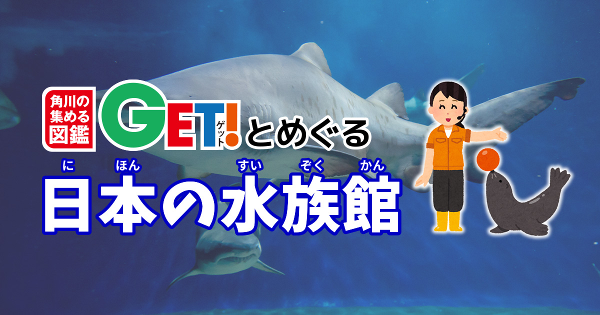 2018 AQUA 272L- 北巽駅から10kmまでの無料配達。