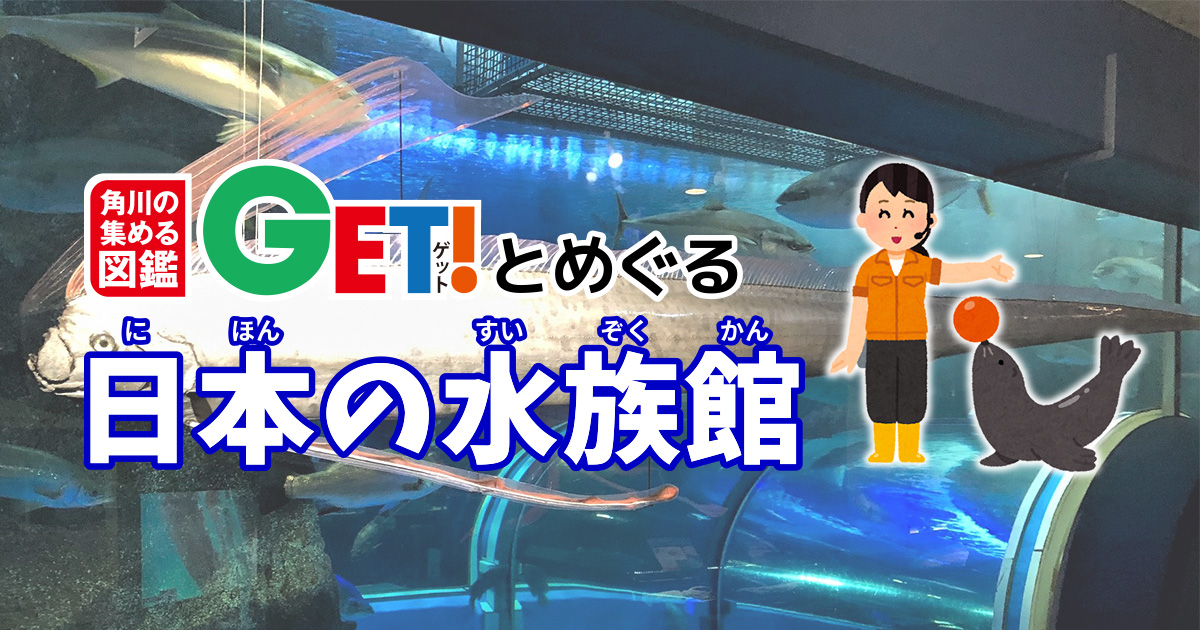 日本現存最古の水族館でキトキトな生きものたちを愛でる！ 角川の