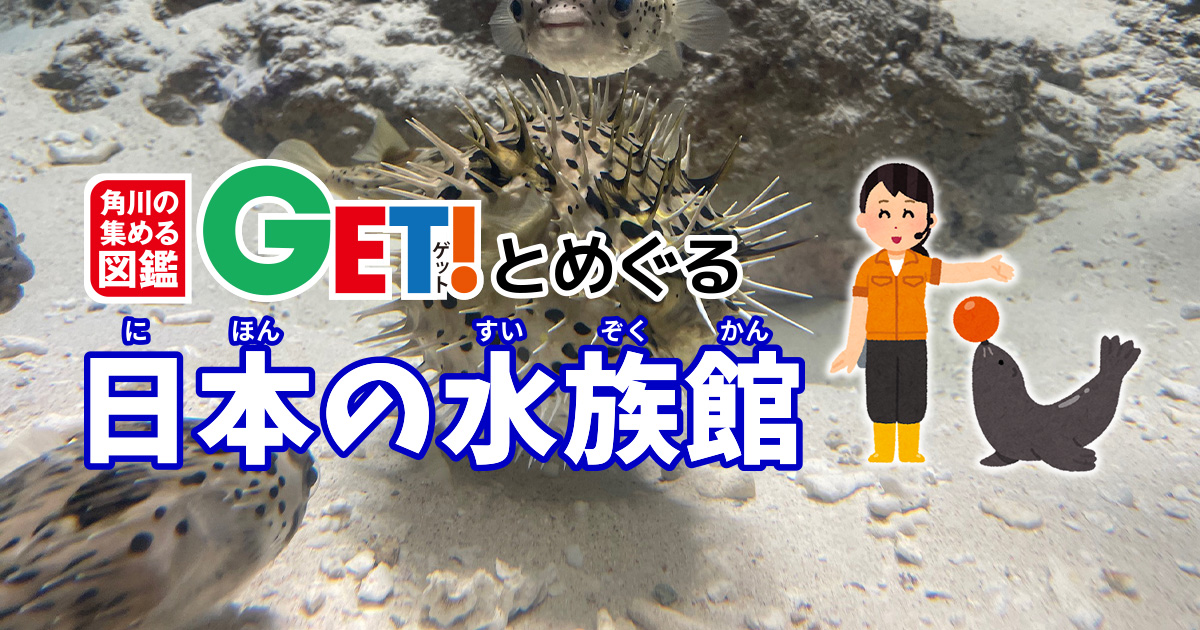 フグフグフグフグ！！ 世界一フグを展示する水族館！！ 角川の集める