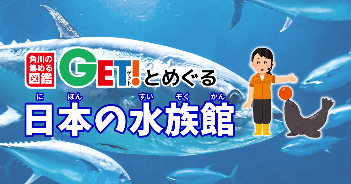 環境をテーマに生態展示を極めた「Tokyo Sea Life Park」 角川の集める
