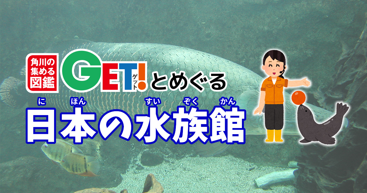 海は無くとも「那珂川」がある！ 日本屈指の「川の水族館」 角川の