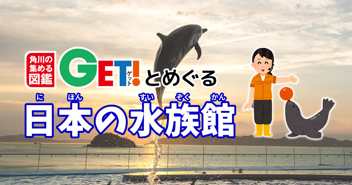 絵画のように美しい水族館 四国水族館【香川県】 「角川の集める