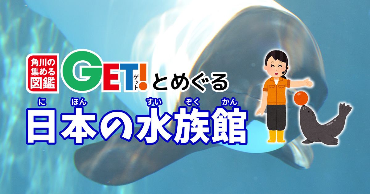 仙台うみの杜水族館【宮城県】「角川の集める図鑑GET！とめぐる日本の