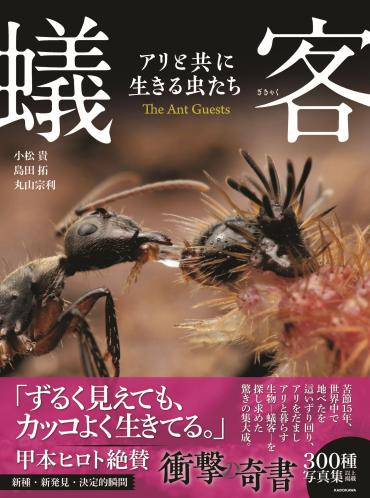 蟻客（ぎきゃく）って知ってる！？ 昆虫好きが思わず釘付けになる驚き