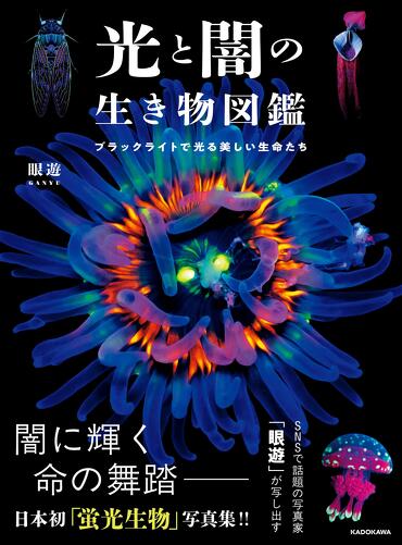 mode3_w370-光と闇_書影