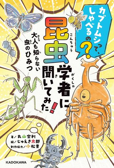 mode3_w370-リサイズ後02_