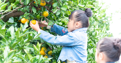 【子どもと行きたい】果物狩りもできる関東近郊のフルーツパーク