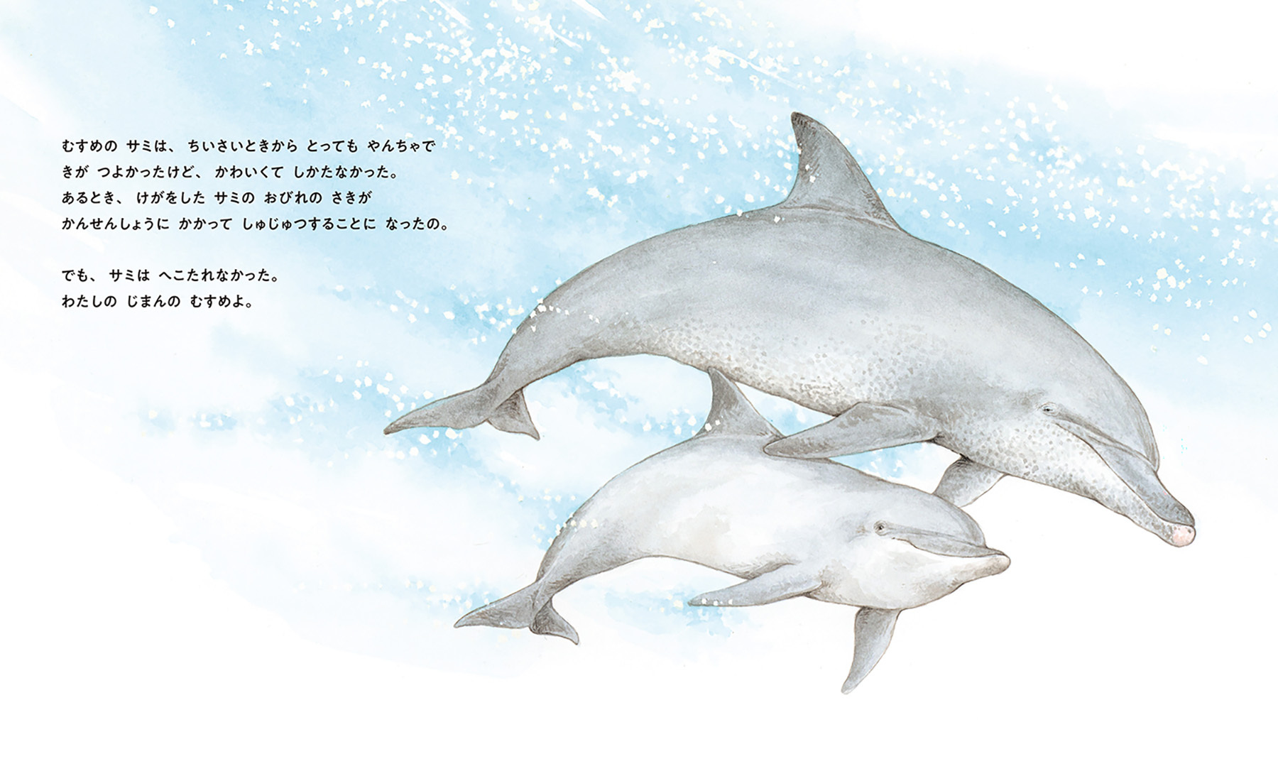 沖縄で50年間愛されたイルカを描くノンフィクション絵本