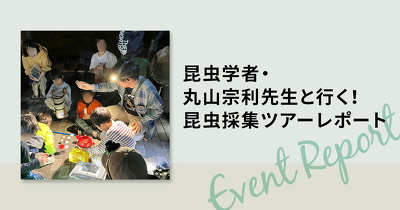 昆虫学者・丸山宗利先生と行く！　昆虫採集ツアーレポート
