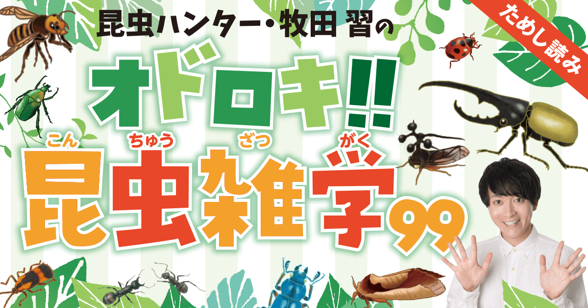昆虫ハンター・牧田 習のオドロキ!!昆虫雑学99 | ヨメルバひろば