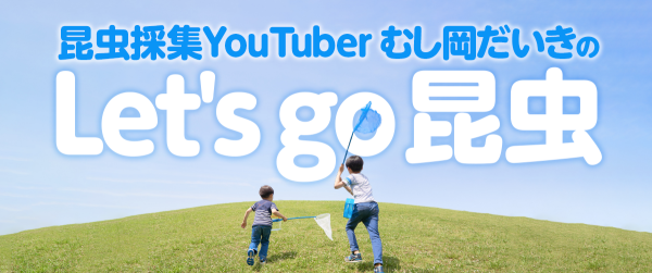 昆虫採集YouTuberむし岡だいきのLet's go 昆虫イメージ