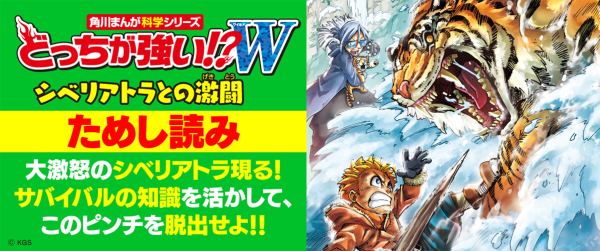 どっちが強い!?W「シベリアトラとの激闘」ためし読みイメージ
