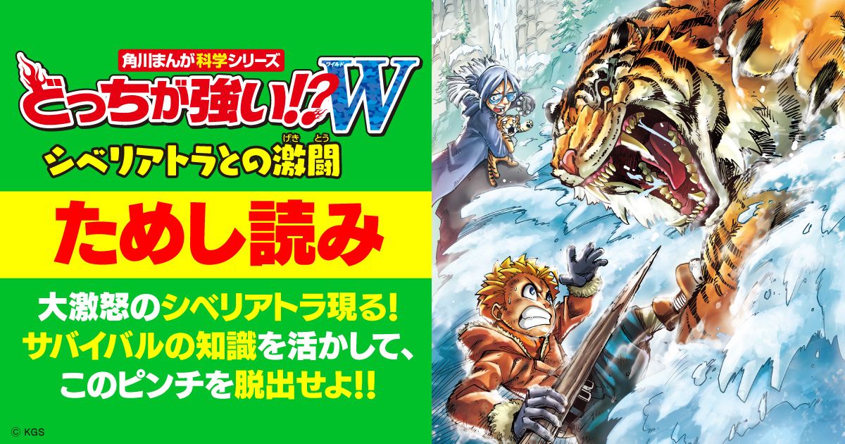 僕とクルマの大冒険 公益財団法人 自動車リサイクル促進センター学習まんがを発行