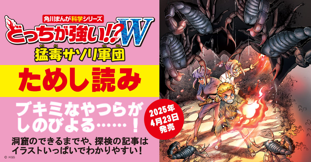 裏切りの荒野 wild04_バナー.jpg