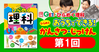 おうちでできる！　「ひらめく！かんさつ・じっけん」　第１回　水であそぼう！