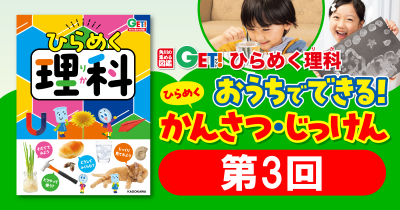 おうちでできる！　「ひらめく！かんさつ・じっけん」　第３回　ふるいを使って砂や土を分けてみよう！