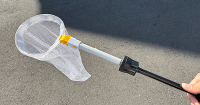 【むし岡だいきさんおススメ！】昆虫採集に便利な道具