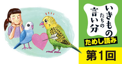 「恋多き人生は短命よ」オモチャにだって恋しちゃう！インコの言い分【いきものたちの言い分 その愛、正直メーワクです】