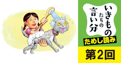 永遠の風呂キャンセル界隈　ネコの言い分【いきものたちの言い分 その愛、正直メーワクです】