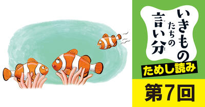 性別を決めつけるなんてナンセンス！クマノミの言い分【いきものたちの言い分 その愛、正直メーワクです】