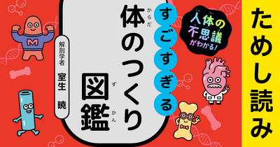 背中を走る大事な道、それが脊髄『人体の不思議がわかる！ すごすぎる体のつくり図鑑』ためし読み